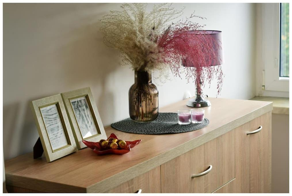Apartment Color 24 Viii *