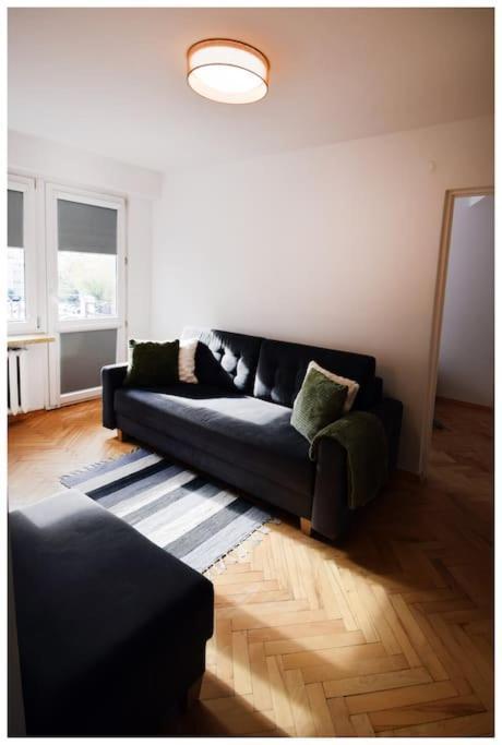 Apartment Color 24 Viii *