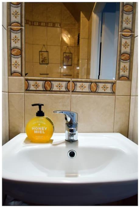 Apartment Color 24 Viii
