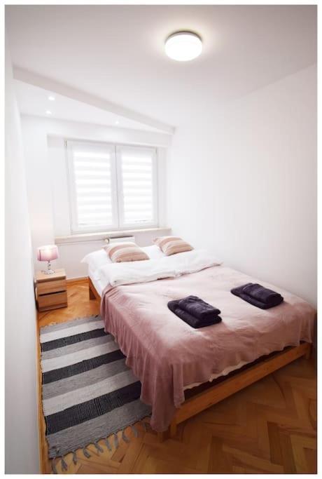 Apartment Color 24 Viii